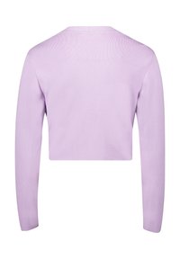 Kurzes Oberteil aus leichtem Lavendeltuch mit langen Ärmeln und einem einfachen Rundhalsausschnitt. Die Strickstruktur ist glatt und gleichmäßig.
