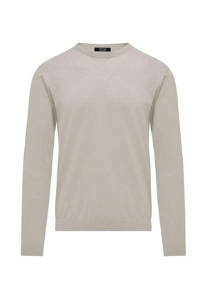 CREW-NECK  - Maglione - ice grey