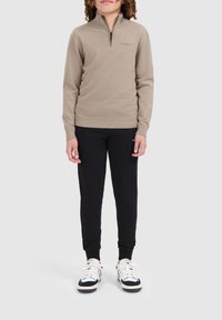 Ballin REGULAR FIT HALF ZIP - Strickpullover - taupe