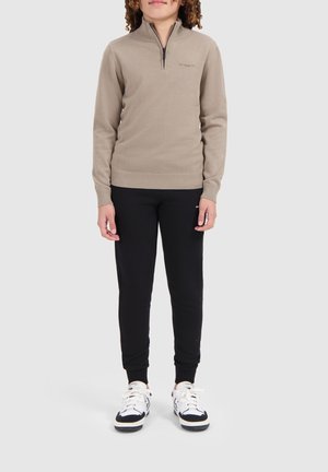 Ballin REGULAR FIT HALF ZIP - Strickpullover - taupe