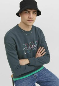 Jack & Jones JORSILVERLAKE - Sudadera - magical forest