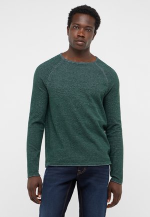 Junger Mann mit kurzen lockigen Haaren, der einen grünen Pullover mit langen Ärmeln und dunkelblaue Jeans trägt, steht vor einem schlichten hellen Hintergrund.