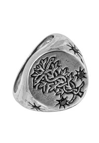 Anello d'argento con un design inciso di un serpente e foglie, caratterizzato da una forma arrotondata e una superficie texturizzata con accenti a forma di stella.