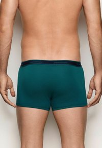 Boxer briefs da uomo in cotone teal con un elastico navy riportante un logo. Texture liscia e design aderente, che mostra una vista dal retro.