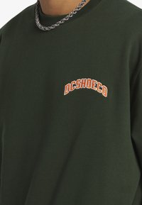 Sudadera verde con un logo bordado "DCSHOECO" en naranja. Confeccionada en una tela suave, con cuello redondo y mangas largas.