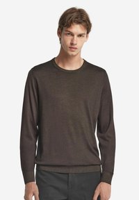 Brauner Langarmpullover mit Rundhalsausschnitt, aus einem weichen, glatten Material gefertigt, mit gerippten Bündchen und Saum für eine enganliegende Passform.