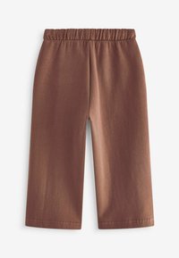 Next WIDE LEG JOGGERS - REGULAR FIT - Tréningruha alsók - brown