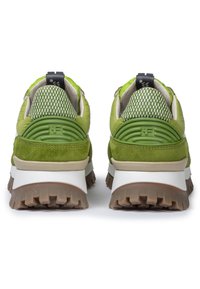 Floris van Bommel DE GROMMER  - Sneakers basse - green