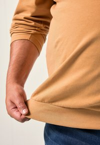 Pitkähiha, vaaleanruskea collegepaita, jossa on pehmeä tekstuuri. Käsivarsi vetää helmaa, näyttäen ribbitekniikalla tehdyt hihansuut ja rennon muotoilun.