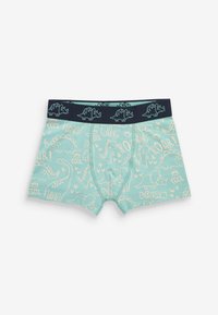 Next TRUNKS 5 PACK - Caleçon de bain - linear dinosaur