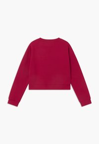 Felpa rossa accorciata con maniche lunghe, collo e polsini a coste. Materiale morbido, texture liscia, design semplice senza loghi o motivi.