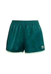 SPRINTER - Pantalones deportivos - collegiate green semi green spark