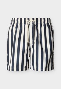 Ei valittu, sky captain/egret