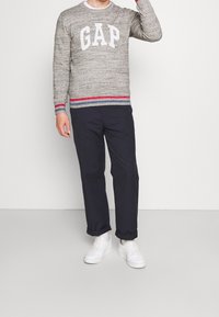 Szary sweter dzianinowy z logo "GAP", czerwono-niebieskie paski na mankietach i brzegu. Noszony z ciemnymi spodniami i białymi tenisówkami.
