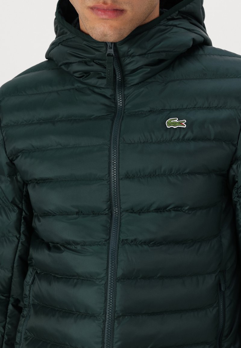 Chaqueta verde acolchada con capucha y cierre frontal de cremallera, que presenta costuras horizontales y un pequeño logotipo bordado de cocodrilo.