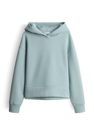 Lichtblauwe oversized hoodie met lange mouwen, ribbed manchetten en een iets cropped zoom, weergegeven op een witte achtergrond.