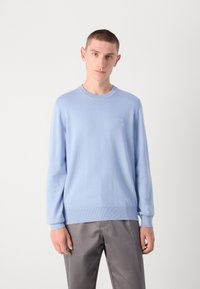 Hellblauer Pullover mit Rundhalsausschnitt aus weichem Stoff. Er hat gerippte Bündchen und einen gerippten Saum sowie ein kleines Logopatch auf der Brust.