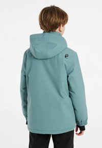 Grüne wasserdichte Jacke mit Kapuze, elastischen Bündchen und einem Logo auf dem oberen Rücken. Glatte Textur und lässiger Schnitt.
