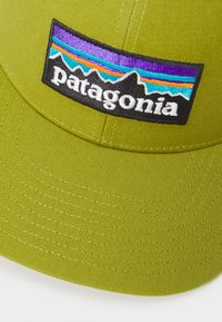 Patagonia P-6 LOGO TRUCKER HAT UNISEX - Šiltovka - graze green