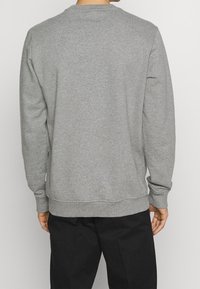 Grijze sweatshirt met lange mouwen, ronde halslijn, ribgebreide manchetten en onderrand, gemaakt van zacht materiaal. Bevat een klein label aan de zijkant.