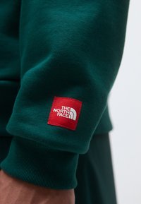 Manica di una felpa verde con finitura testurizzata, dotata di un'etichetta rettangolare rossa con la scritta "THE NORTH FACE" e logo bianco.