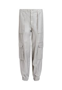 FREDA - Cargobroek - light grey