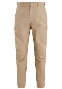 icebreaker - MERINO HIKE - Trousers - MEDIUM BEIGE Thumbnail Image 1
