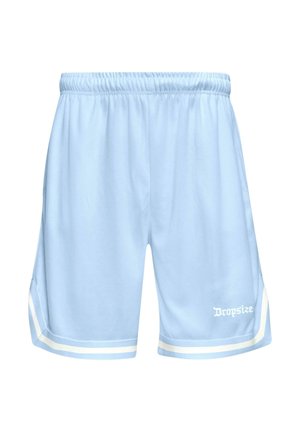 Light blue athletic shorts with elastic waistband, white double stripes on sides and bottom hem, and white "Dropsize" text on left leg.