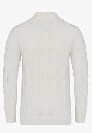 Weißer Pullover mit Zopfmuster, langen Ärmeln, Rippbündchen an Ärmelenden, Saum und Kragen, von hinten vor einem einfarbigen Hintergrund dargestellt.