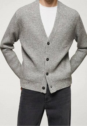 Mann trägt eine graue Strickjacke mit schwarzen Knöpfen über einem weißen Hemd und schwarzen Hosen, die Arme entspannt hinter dem Rücken.