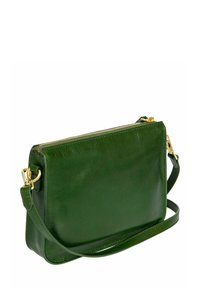 Sac en bandoulière en cuir vert avec fermeture éclair, matériel en ton doré, texture lisse et bandoulière réglable. Design rectangulaire simple.