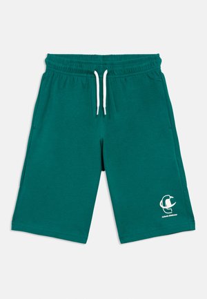 Türkiissinised puuvillased lühikesed püksid elastse vöökoha, valgete nööridega ja küljetaskutega. Alumisel eesmisel osal on logo ja tekst.