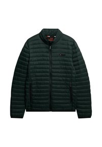 Ciemnozielona pikowana kurtka z wysokim kołnierzem, przednim zamkiem błyskawicznym i dwoma kieszeniami po bokach. Posiada subtelną metkę z brandingiem na klatce piersiowej.