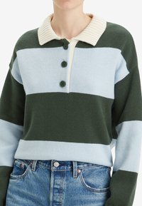 Groen en lichtblauw gestreepte trui met een geribbelde crèmekleurige kraag, voorzien van drie donkere knopen en een zachte breistekstuur. Gecombineerd met blauwe jeans.