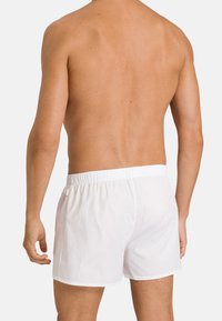 Boxers en coton blanc avec un waistband élastique, présentant une texture lisse et un design simple, vus de dos.