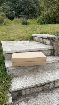 Brown cardboard box resting on gray stone steps, surrounded by grass. Natural outdoor setting with trees and shrubs in the background.