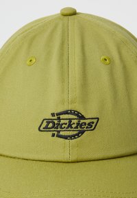 Zaļš cepure, kas izgatavota no teksturēta auduma ar noapaļotu kroni. Aprīkota ar izšūtu melnu logotipu "Dickies" un saskaņotiem akcentiem.