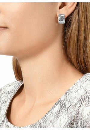 Earrings - silber