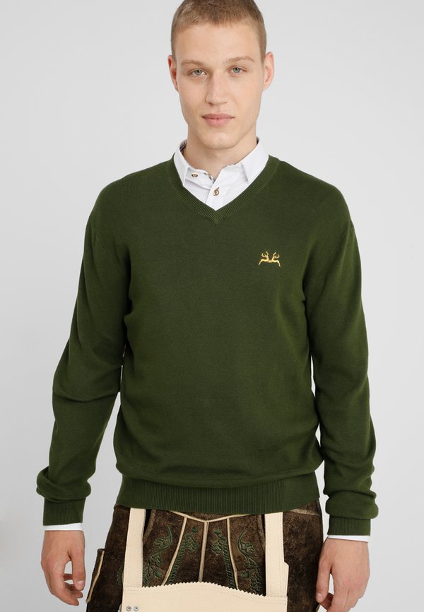 FRIEDEMANN - Strickpullover - grün