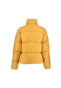 JOTT SHENZEN   - Chaqueta de plumas - marron