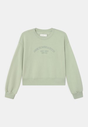 SHRUNKEN CREW - Sweatshirt - green