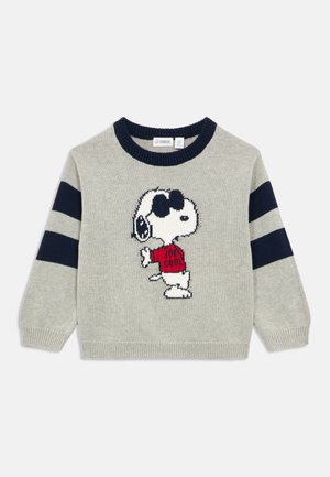 Pulover gri tricotat, cu un grafic Snoopy care poartă ochelari de soare și o cămașă roșie inscripționată cu "JOEY COOL." Dungi bleumarin pe mâneci.