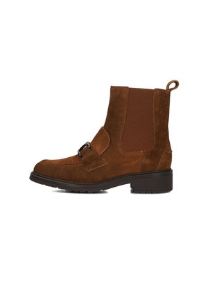 ERNE - Ankle boots - brown