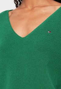 Žalias megztinis su V formos iškirpte ir rangovu tekstūra. Kairėje pusėje yra mažas raudonas, baltas ir mėlynas logotipas.