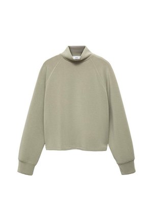 Lichtgroene, langärmige pullover met een hoge kraag. Gemaakt van zacht materiaal, met raglanmouwen en een cropped ontwerp.