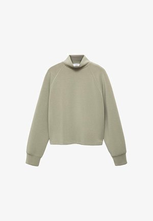 Helltgrüner, langärmeliger Pullover mit hohem Kragen. Aus weichem Stoff gefertigt, mit Raglanärmeln und cropped Design.