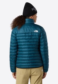 Persona che indossa una giacca trapuntata teal di The North Face e pantaloni beige, con un berretto nero, vista da dietro su uno sfondo semplice.