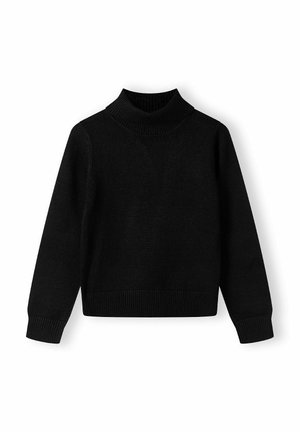 ROLL NECK - Pullover - black