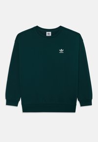 Pasirinkta, aurora ivy