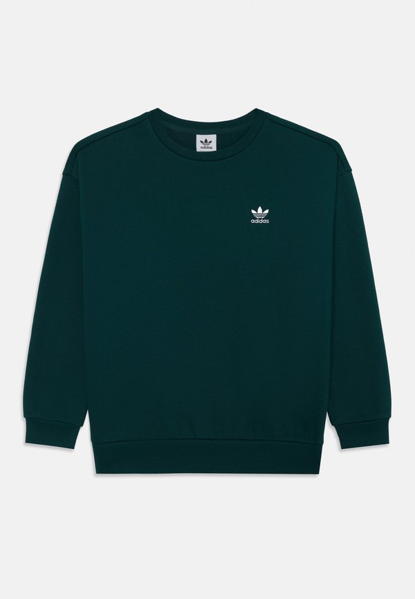 BOYFRIEND CREW  - Sweatshirt - aurora ivy